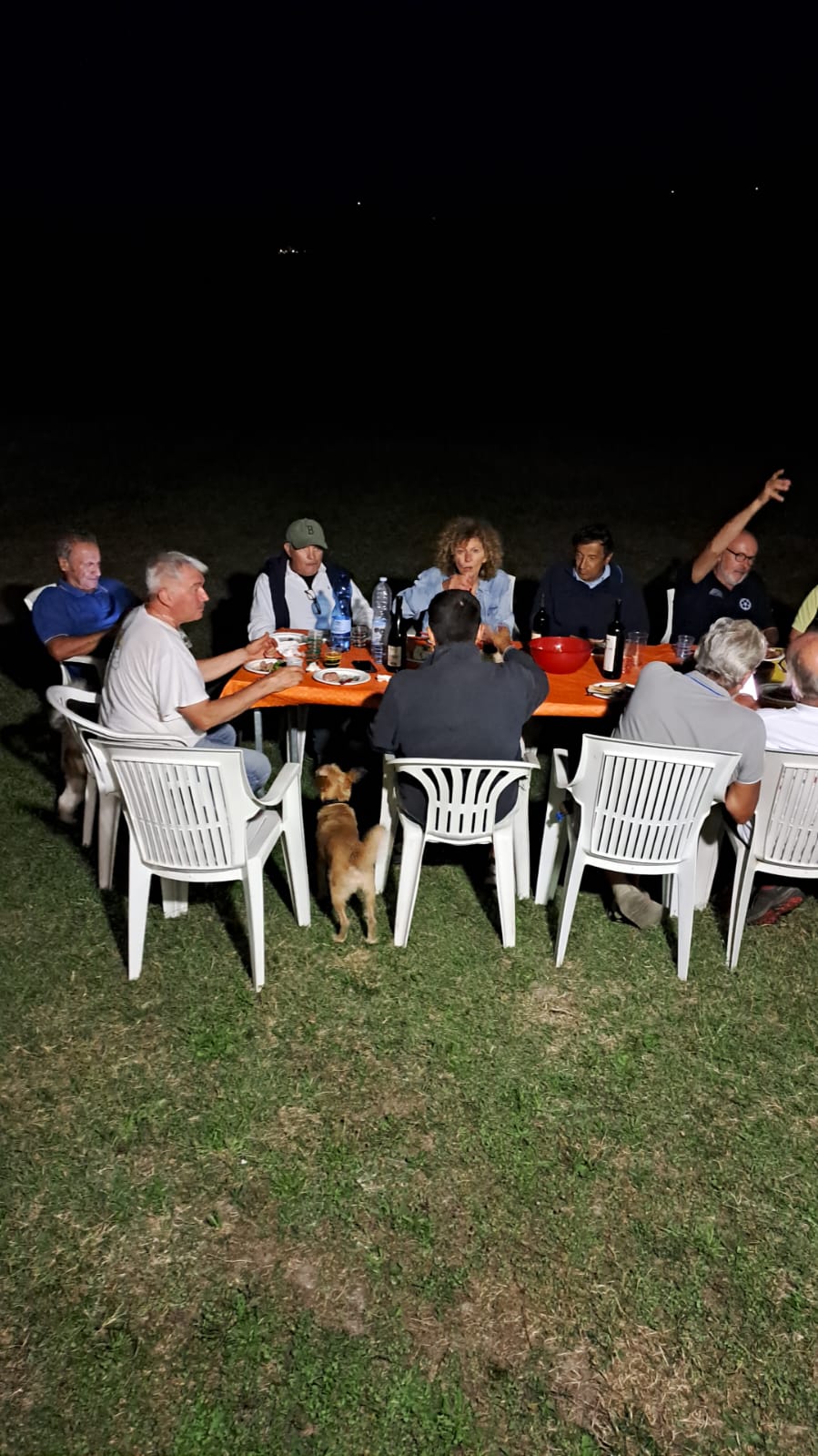 03ab83c9 3187 4a6c a5df 77b93d473f4c