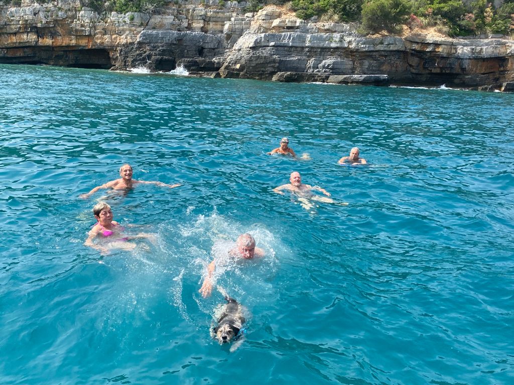 568f29ab 3c90 4c1d 90fb bf16f8511dc7