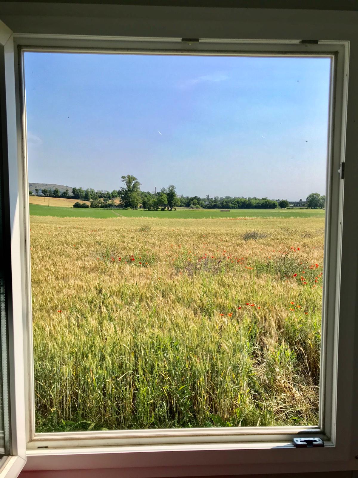 Fdd70c17 3b17 4dd4 a0a4 41e53e0cd29b1